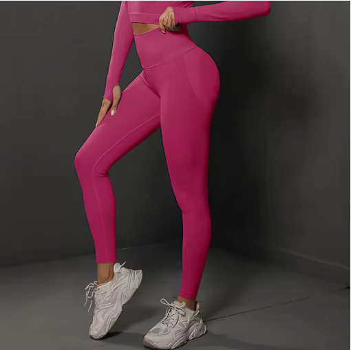 Seamless Gym Leggings Women Yoga Pants Sexy High
