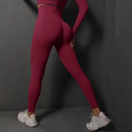 Seamless Gym Leggings Women Yoga Pants Sexy High