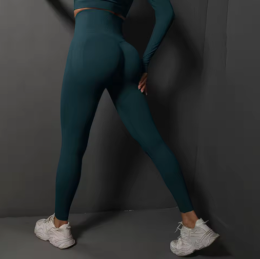 Seamless Gym Leggings Women Yoga Pants Sexy High